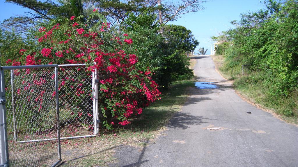 Tranquility By The Sea Villa Vieques Exterior photo