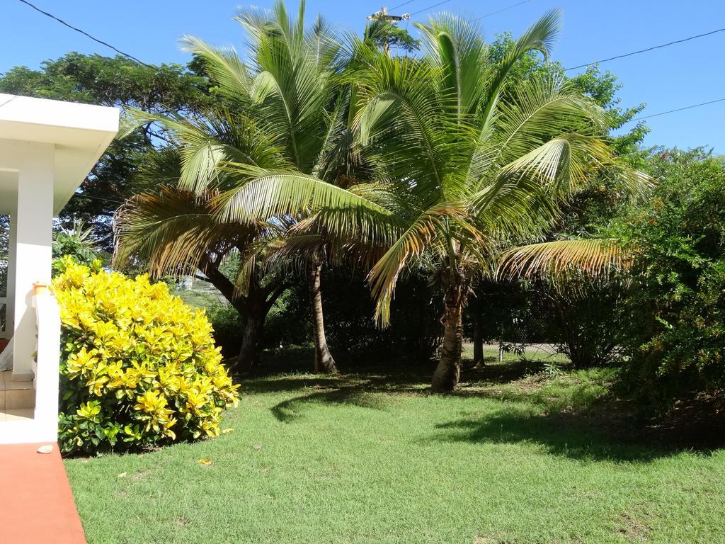 Tranquility By The Sea Villa Vieques Exterior photo