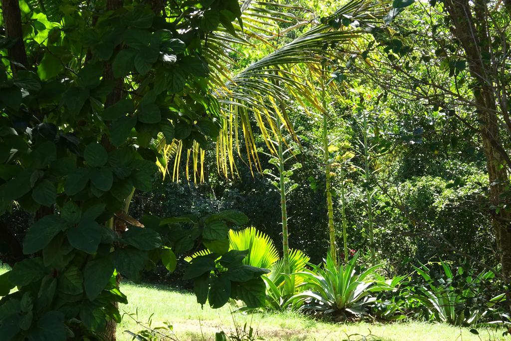 Tranquility By The Sea Villa Vieques Room photo