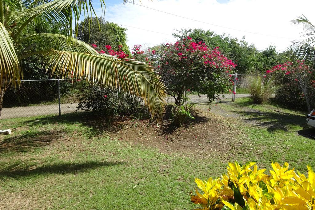 Tranquility By The Sea Villa Vieques Room photo