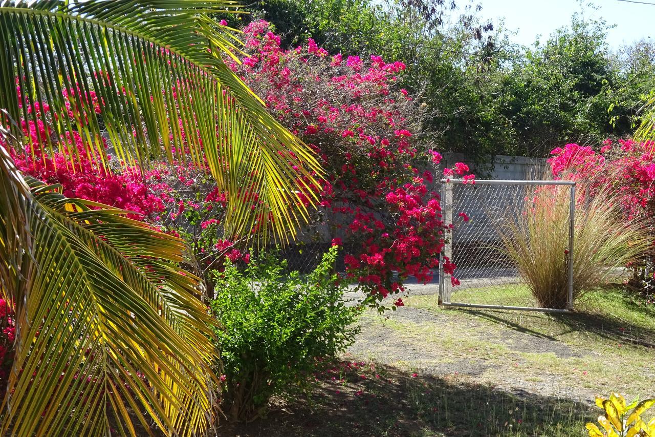 Tranquility By The Sea Villa Vieques Exterior photo