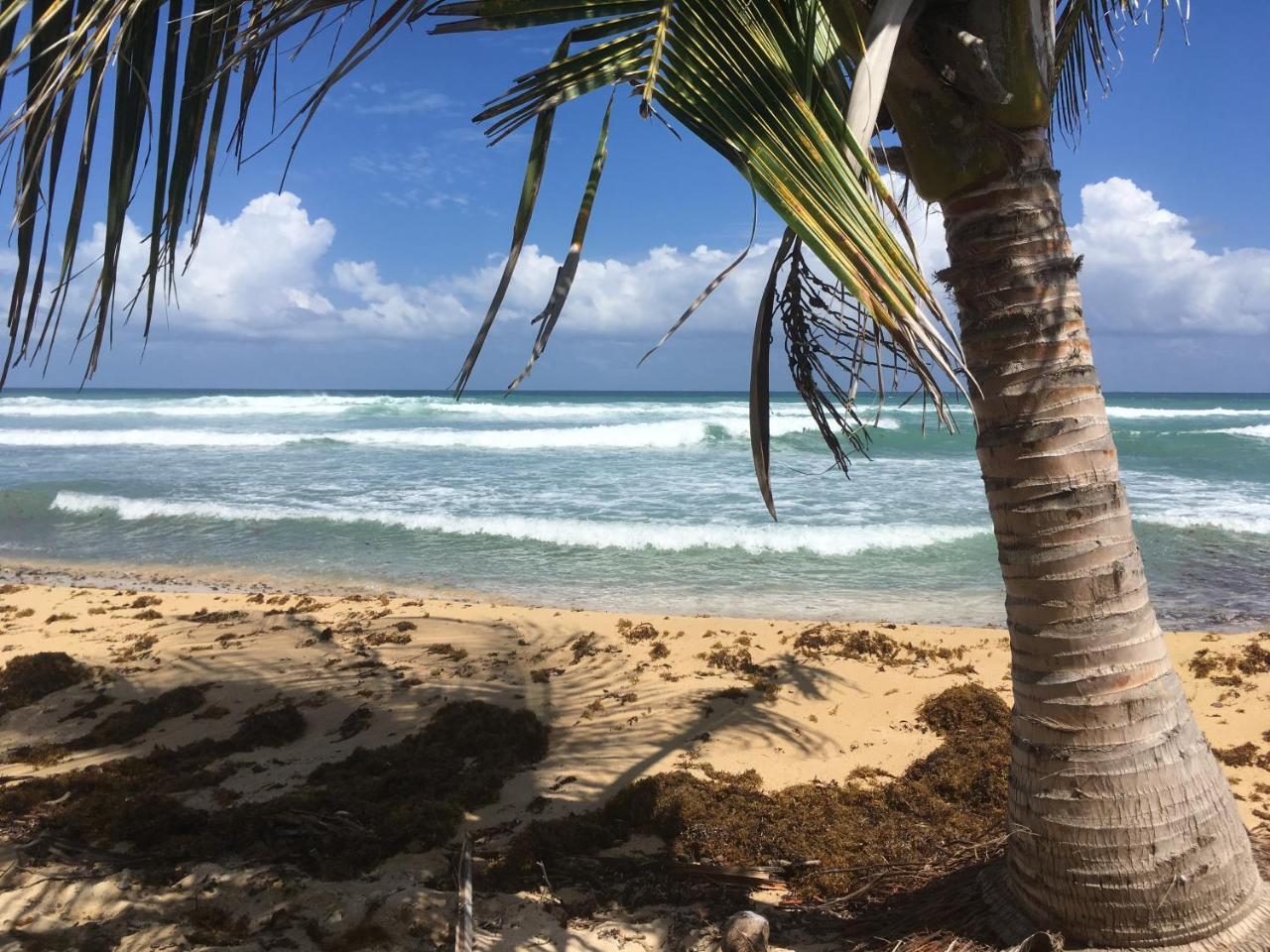 Tranquility By The Sea Villa Vieques Exterior photo