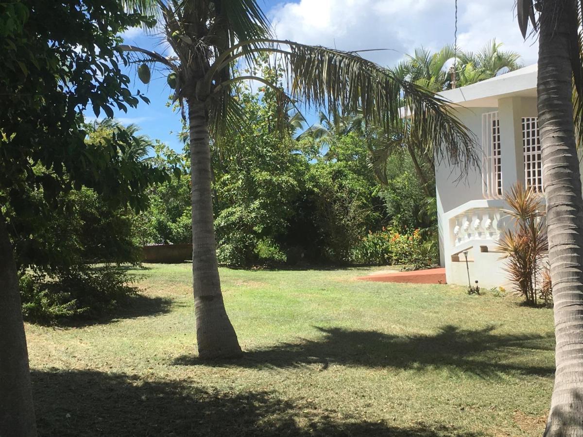 Tranquility By The Sea Villa Vieques Exterior photo